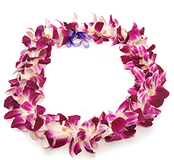 Résultat de recherche d'images pour "hawaiian lei"